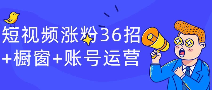 短视频涨粉36招+橱窗+账号运营插图