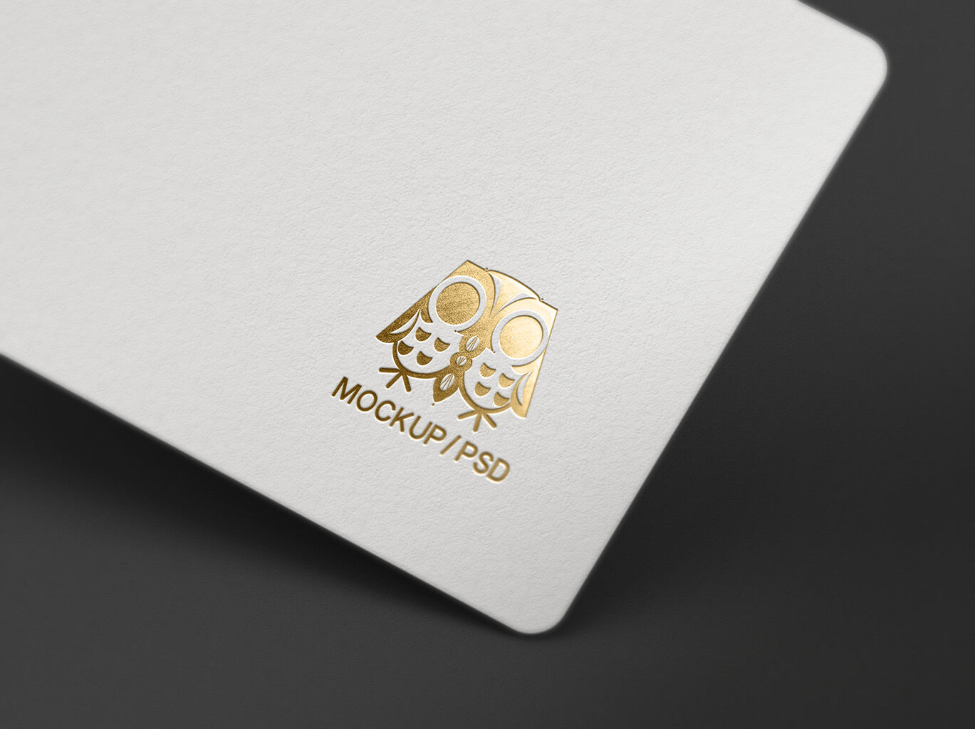 3D烫金logo样机-知识麦田